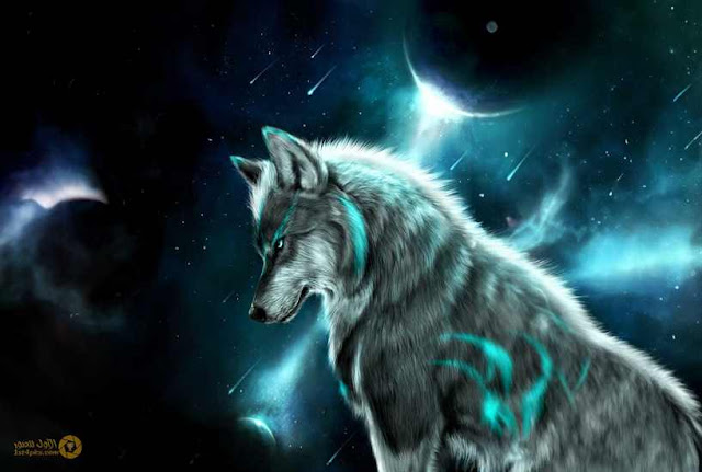 الصف الأول الأعدادي